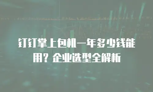 钉钉掌上包机一年多少钱能用？企业选型全解析