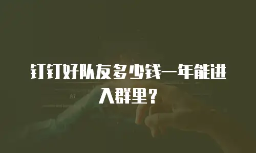 钉钉好队友多少钱一年能进入群里？
