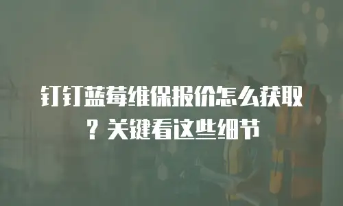 钉钉蓝莓维保报价怎么获取？关键看这些细节