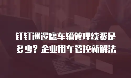 钉钉巡逻鹰车辆管理续费是多少？企业用车管控新解法