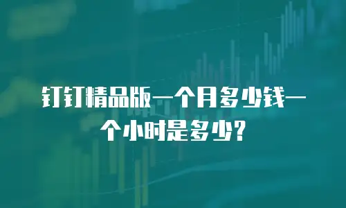 钉钉精品版一个月多少钱一个小时是多少？