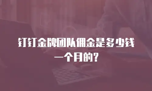 钉钉金牌团队佣金是多少钱一个月的？