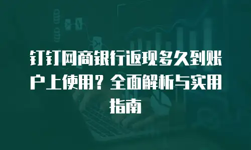 钉钉网商银行返现多久到账户上使用？全面解析与实用指南