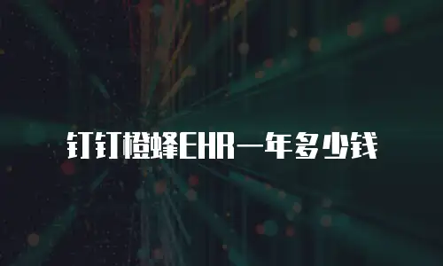 钉钉橙蜂EHR一年多少钱