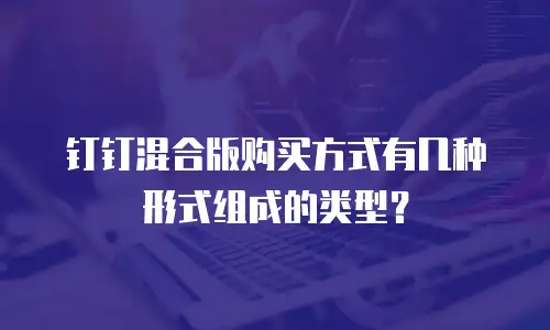 钉钉混合版购买方式有几种形式组成的类型？