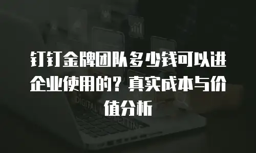 钉钉金牌团队多少钱可以进企业使用的？真实成本与价值分析
