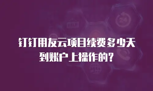 钉钉用友云项目续费多少天到账户上操作的？