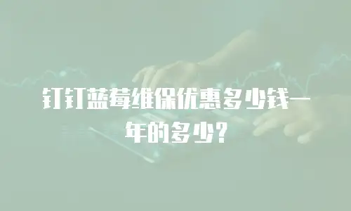 钉钉蓝莓维保优惠多少钱一年的多少？