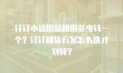 钉钉小猪用品租用多少钱一个？钉钉租赁方案怎么选才划算？