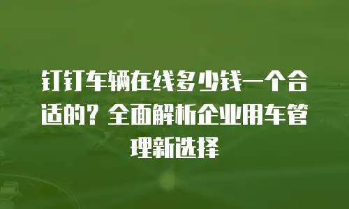 钉钉车辆在线多少钱一个合适的？全面解析企业用车管理新选择
