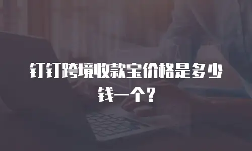 钉钉跨境收款宝价格是多少钱一个？
