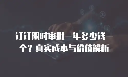钉钉限时审批一年多少钱一个？真实成本与价值解析
