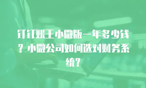钉钉账王小微版一年多少钱？小微公司如何选对财务系统？