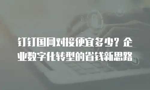 钉钉国网对接便宜多少？企业数字化转型的省钱新思路