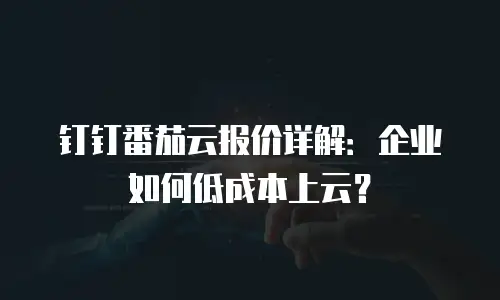 钉钉番茄云报价详解：企业如何低成本上云？