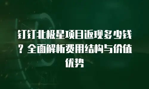 钉钉北极星项目返现多少钱？全面解析费用结构与价值优势