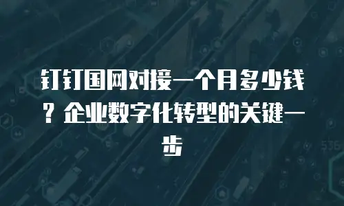 钉钉国网对接一个月多少钱？企业数字化转型的关键一步
