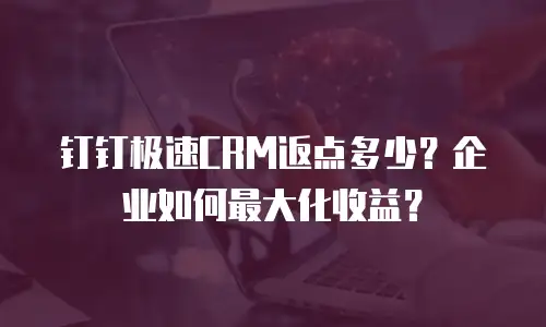 钉钉极速CRM返点多少？企业如何最大化收益？