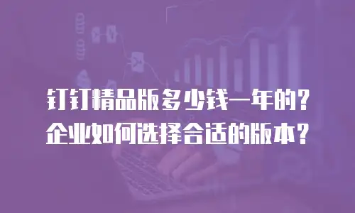 钉钉精品版多少钱一年的？企业如何选择合适的版本？