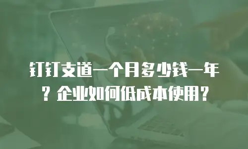 钉钉支道一个月多少钱一年？企业如何低成本使用？