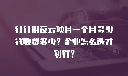 钉钉用友云项目一个月多少钱收费多少？企业怎么选才划算？