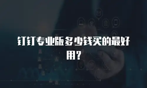 钉钉专业版多少钱买的最好用？