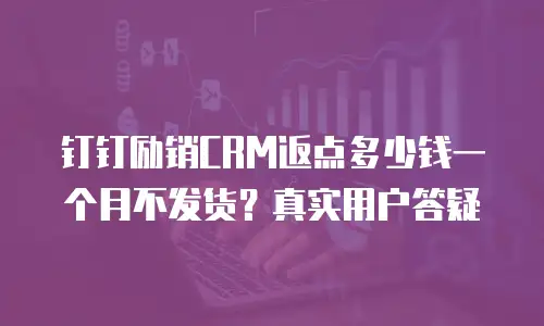 钉钉励销CRM返点多少钱一个月不发货？真实用户答疑