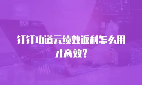 钉钉功道云绩效返利怎么用才高效？