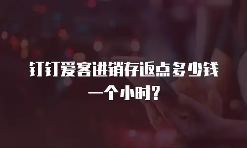 钉钉爱客进销存返点多少钱一个小时？