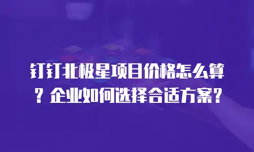 钉钉北极星项目价格怎么算？企业如何选择合适方案？