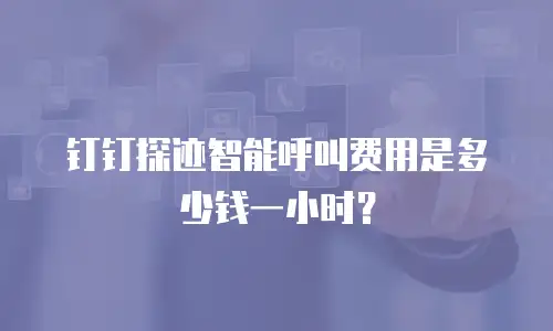 钉钉探迹智能呼叫费用是多少钱一小时？