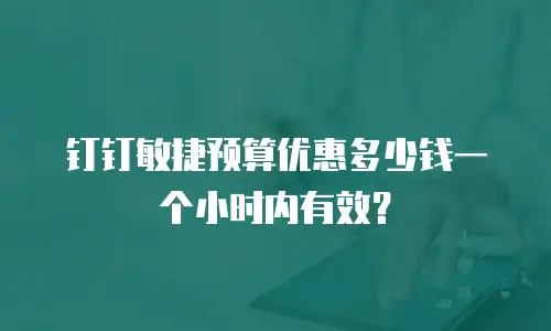 钉钉敏捷预算优惠多少钱一个小时内有效？