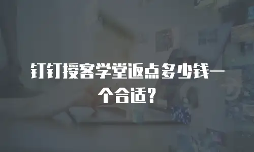 钉钉授客学堂返点多少钱一个合适？