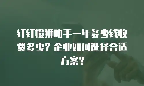 钉钉橙狮助手一年多少钱收费多少？企业如何选择合适方案？