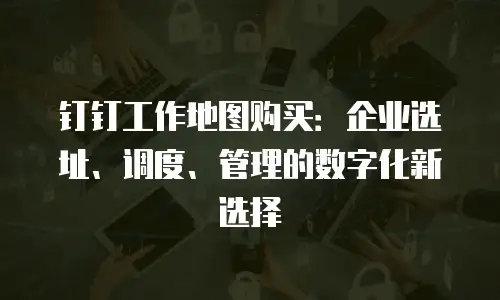 钉钉工作地图购买：企业选址、调度、管理的数字化新选择
