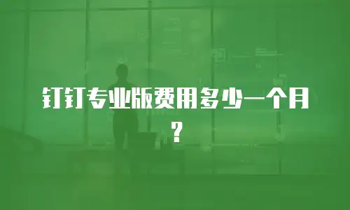 钉钉专业版费用多少一个月？