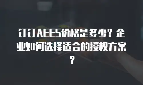 钉钉AEES价格是多少？企业如何选择适合的授权方案？