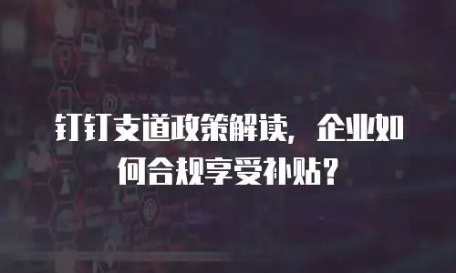 钉钉支道政策解读，企业如何合规享受补贴？