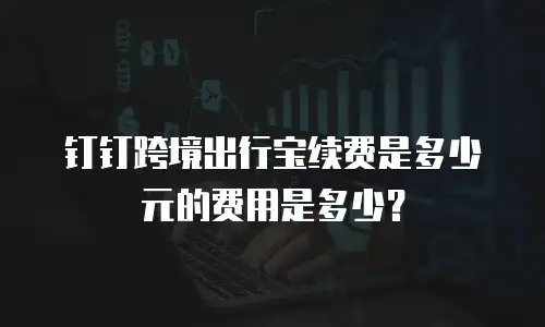 钉钉跨境出行宝续费是多少元的费用是多少？