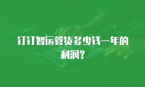 钉钉智运管货多少钱一年的利润？