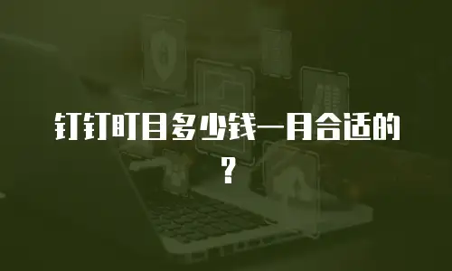 钉钉盯目多少钱一月合适的？