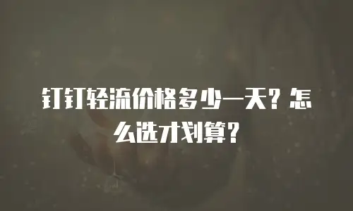 钉钉轻流价格多少一天？怎么选才划算？