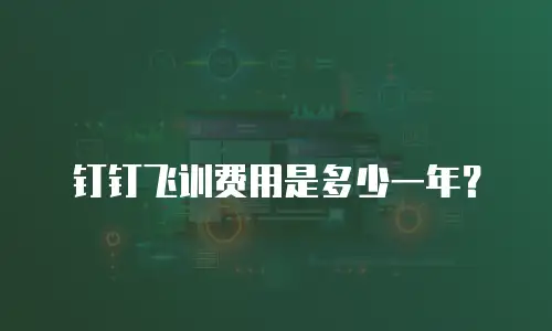钉钉飞训费用是多少一年？