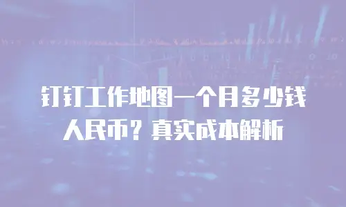 钉钉工作地图一个月多少钱人民币？真实成本解析