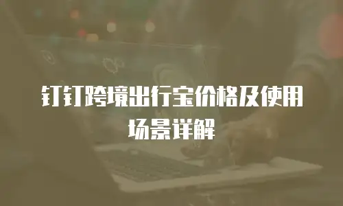 钉钉跨境出行宝价格及使用场景详解