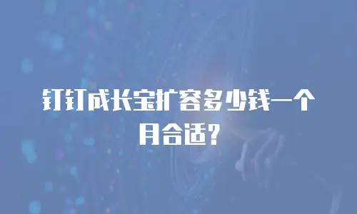 钉钉成长宝扩容多少钱一个月合适？