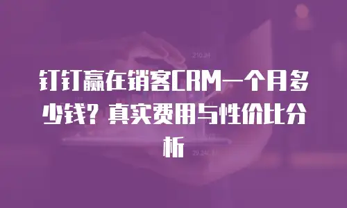 钉钉赢在销客CRM一个月多少钱？真实费用与性价比分析