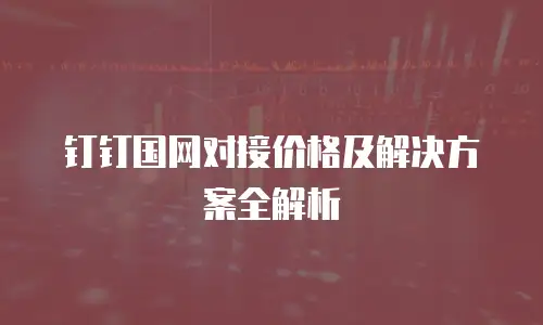 钉钉国网对接价格及解决方案全解析