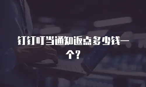 钉钉叮当通知返点多少钱一个？