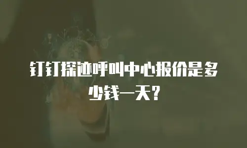 钉钉探迹呼叫中心报价是多少钱一天？